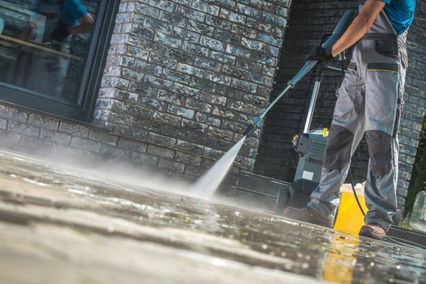 Best Animal Enclosure Cleaning  in Piednt, MO