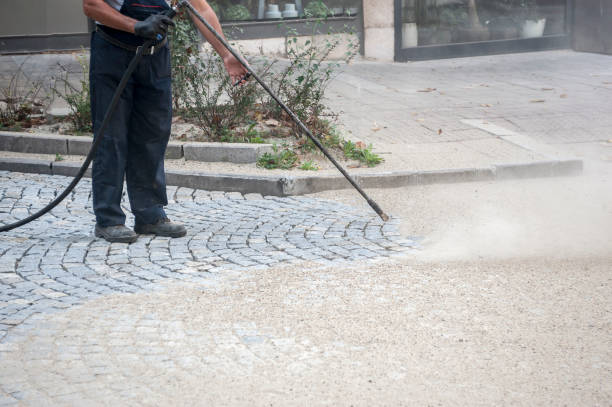 Best Residential House Exterior Washing  in Piednt, MO